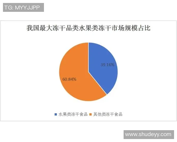 上海足球队的运营揭秘：从管理模式到市场策略的全面分析