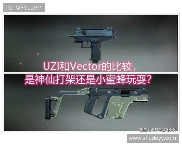 专访赵丽揭秘和平精英成功背后的故事与策略分析