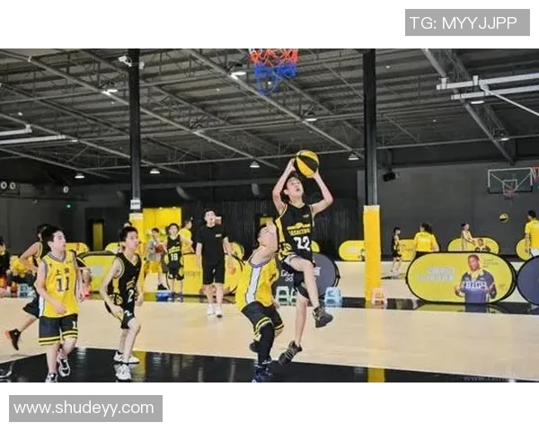 成都篮球队追梦之路：从艰辛奋斗到世界杯舞台的荣耀之旅