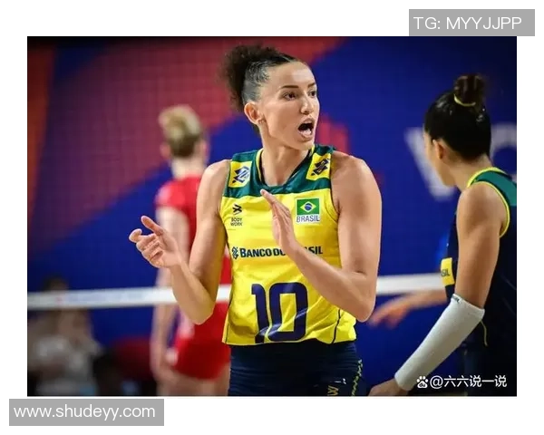 深圳排球队实力分析与发展潜力探讨：数据背后的故事与启示