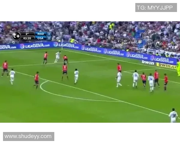 杭州足球队在欧锦赛中的拼搏历程与荣耀时刻的深度剖析